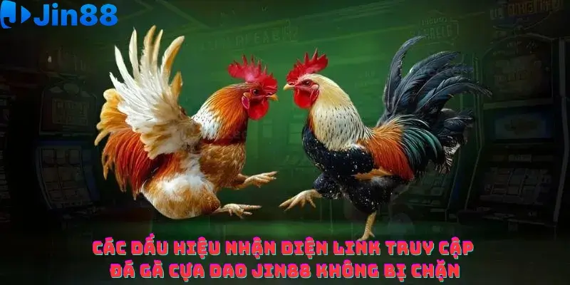 Đá gà cựa dao Jin88 – Cách nhận diện link truy cập chính thức không bị chặn - hình ảnh - rrerkajqm.top