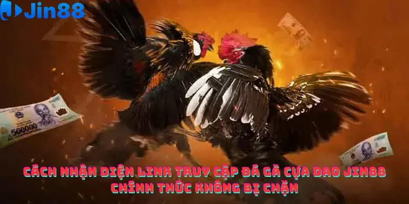 Đá gà - Jin88 - hình ảnh - rrerkajqm.top